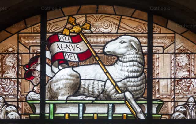 Jesus representado como o Cordeiro de Deus - Imagens católicas de stock