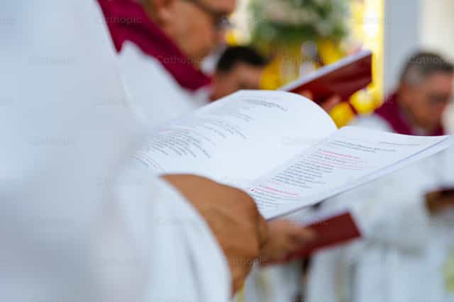Concelebración en la solemnidad el Señor Jesús - Banco de imágenes católicas - Fotografía por Miguel White