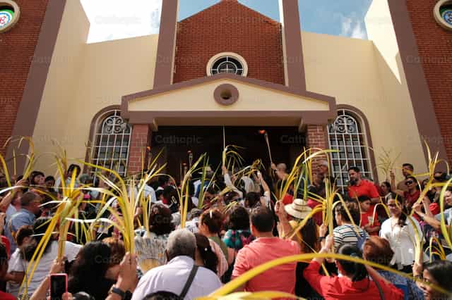 Domingo de Ramos en la Casa Del Señor - Banco de imágenes católicas - Fotografía por Leider Mendoza