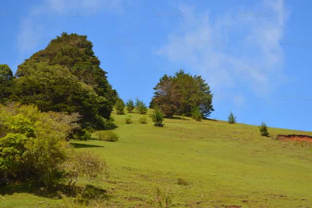 Colinas Verdes y Cielo Azul: La Creación Divina - Banco de imágenes católicas - Fotografía por Jose Conejo Saenz