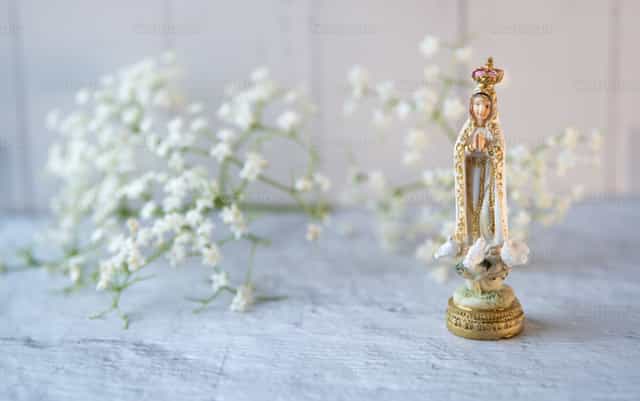 Onze-Lieve-Vrouw van Fatima en witte bloemen - Katholieke stockfoto's