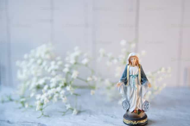 Miraculous Virgin Among Flowers - Catholic stock images - Photo by Carolina BR
