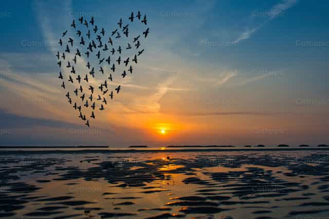 Siluetas de aves volando sobre el mar al amanecer en forma de corazón - Banco de imágenes católicas - Fotografía por Michelangelo Oprandi