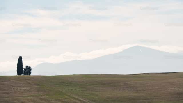 Panorama con un ciprés y el Monte Amiata a lo lejos, Toscana - Banco de imágenes católicas