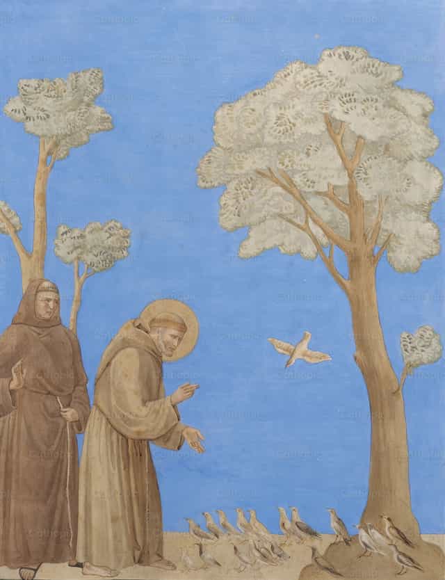 Assisi Szent Ferenc prédikál a madaraknak - Katolikus stockképek - Fotó: Restored Christian Art