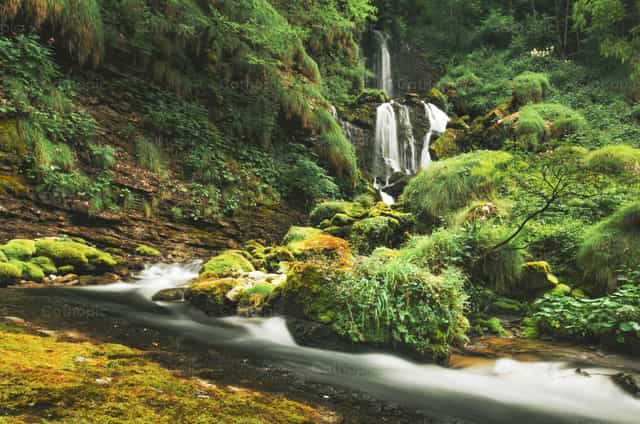 Serene waterfall flowing through lush green forest landscape - Catholic stock images - Photo by Michelangelo Oprandi