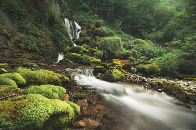 Paisaje sereno de bosque musgoso con cascada y arroyo fluyente - Banco de imágenes católicas - Fotografía por Michelangelo Oprandi