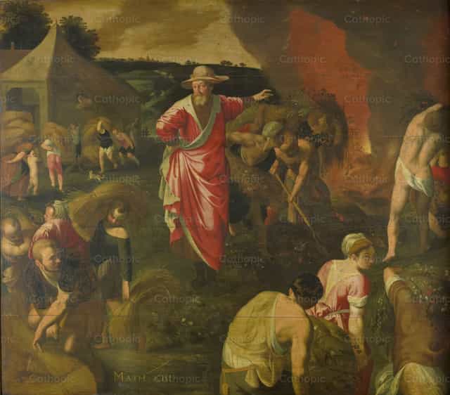 麦子中的稗子比喻 - 天主教图库图片 - 摄影： Restored Christian Art