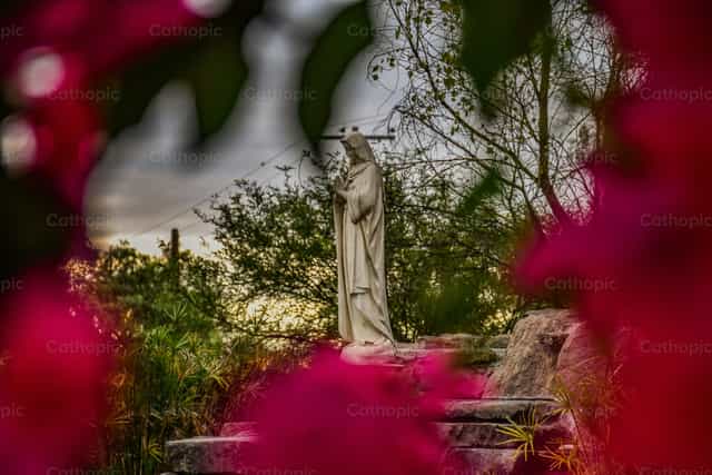 Virgin Mary, the most beautiful - Catholic stock images