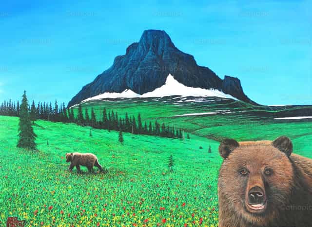 Niedźwiedzie grizzly w Parku Narodowym Glacier - Katolickie zdjęcia stockowe - Zdjęcie: Mike Bennett