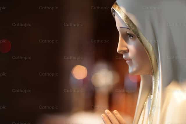 Virgin of sweet look - Catholic stock images