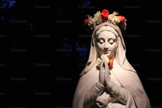 The most beautiful flower in the heavenly garden - Catholic stock images