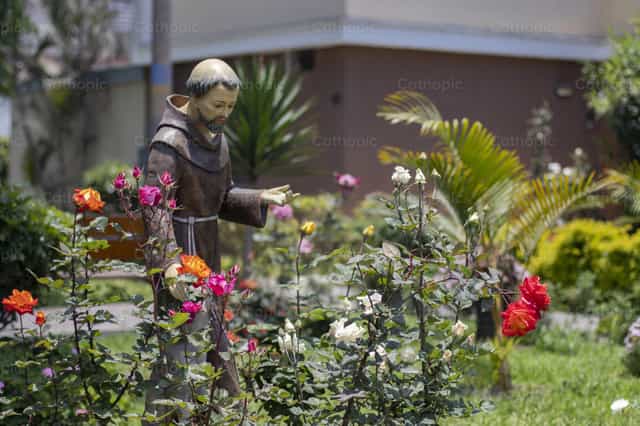 Hl. Franziskus von Assisi - Katholische Stockfotos - Foto von Danny Aliano Rosas