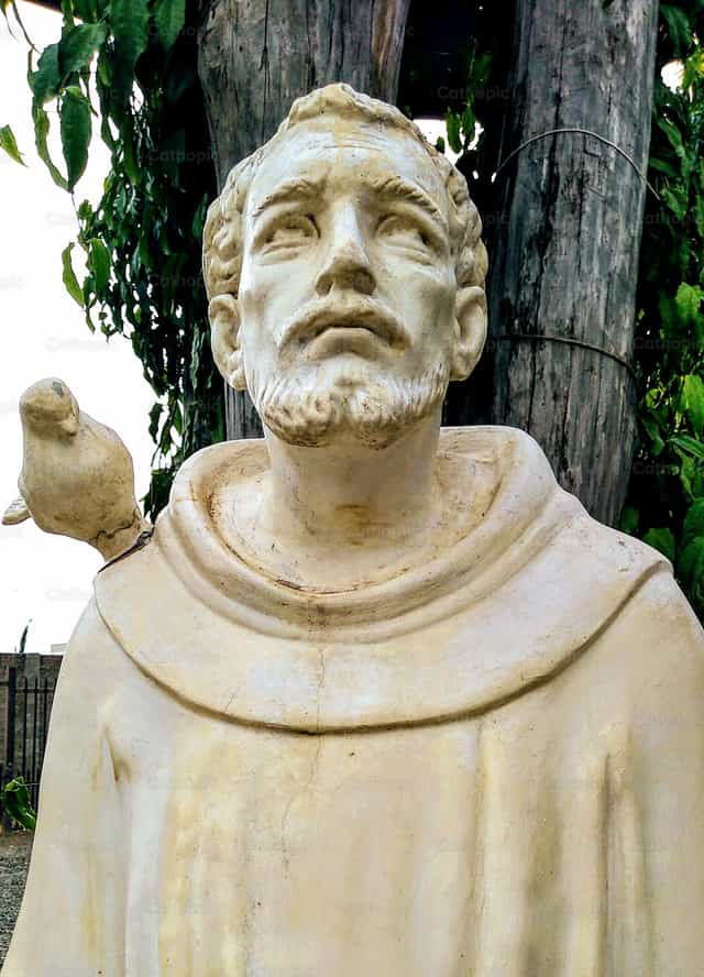 Beeld van de heilige Franciscus van Assisi - Katholieke stockfoto's