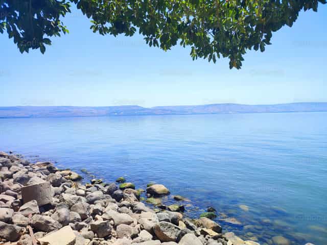 Lago de Galilea - Banco de imágenes católicas - Fotografía por Marius Jocys