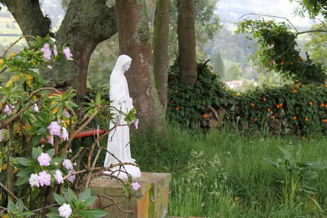 Virgen Maria - Banco de imágenes católicas