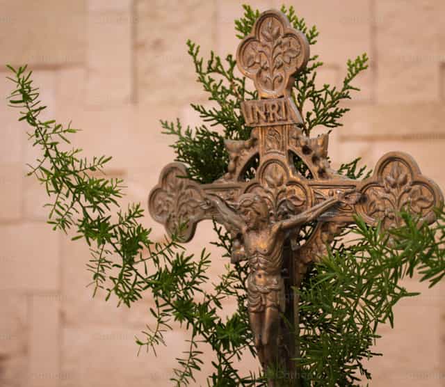 Palm Sunday - Catholic stock images