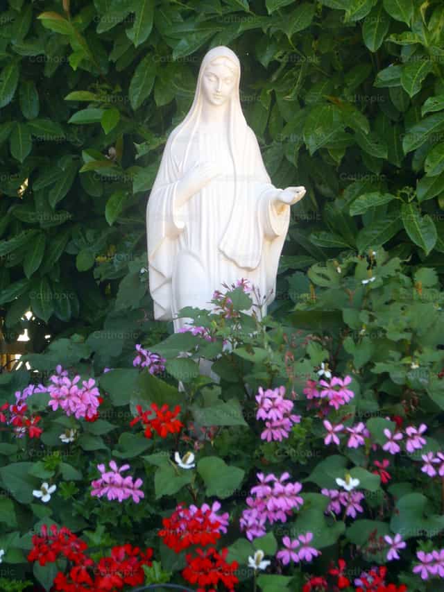 Virgen en medio de Flores - Banco de imágenes católicas