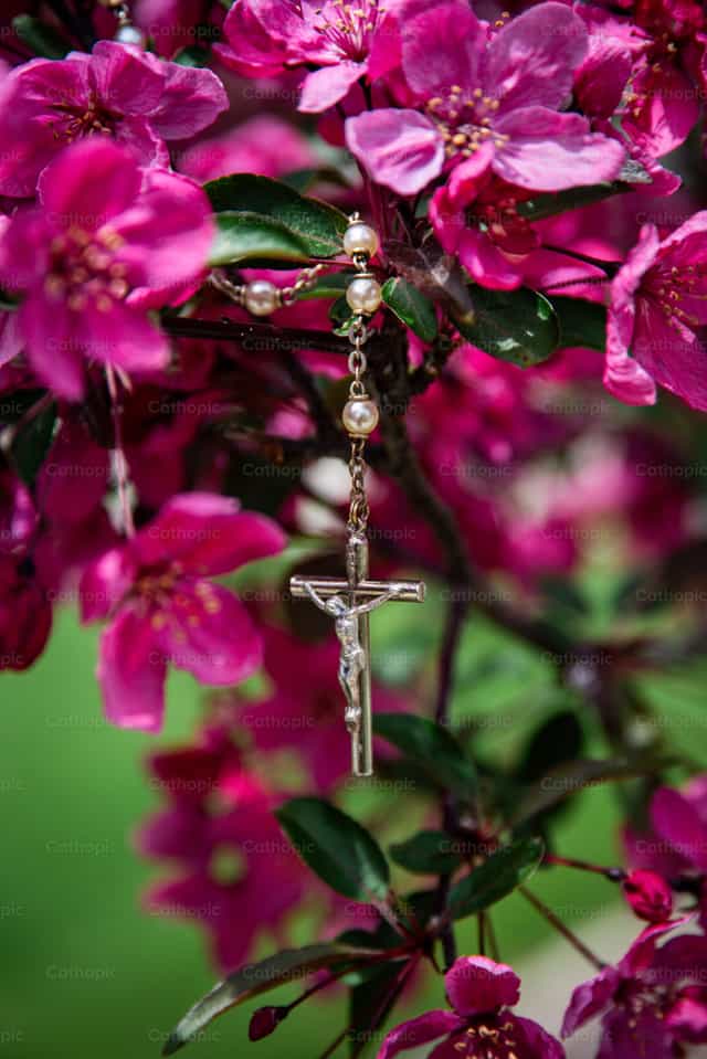 Crucifijo entre las flores de manzano de mayo - Banco de imágenes católicas - Fotografía por Heather Skowronski