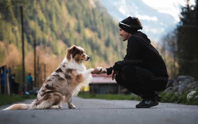 Young man and dog greeting each other - Catholic stock images - Photo by Santiago de la Hoz