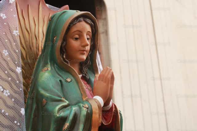 Nuestra Señora de Guadalupe - Banco de imágenes católicas