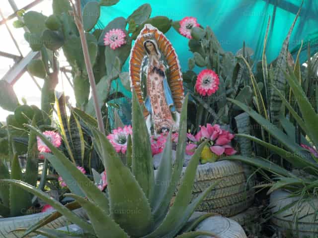Vierge de Guadalupe - Images catholiques de stock