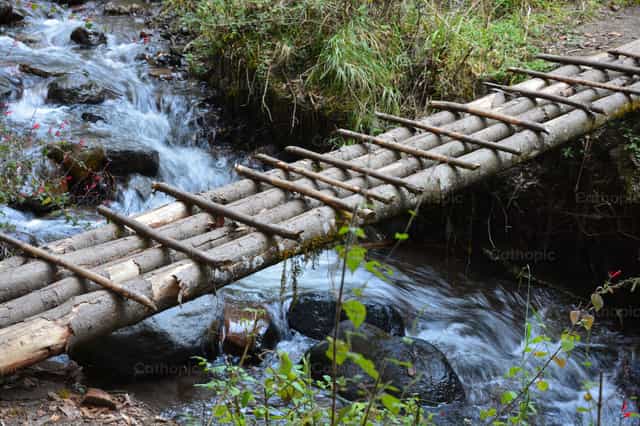 Building bridges, not walls - Catholic stock images