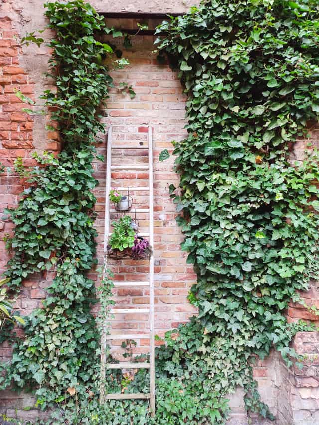 La escalera de Jacob - Banco de imágenes católicas - Fotografía por Marius Jocys