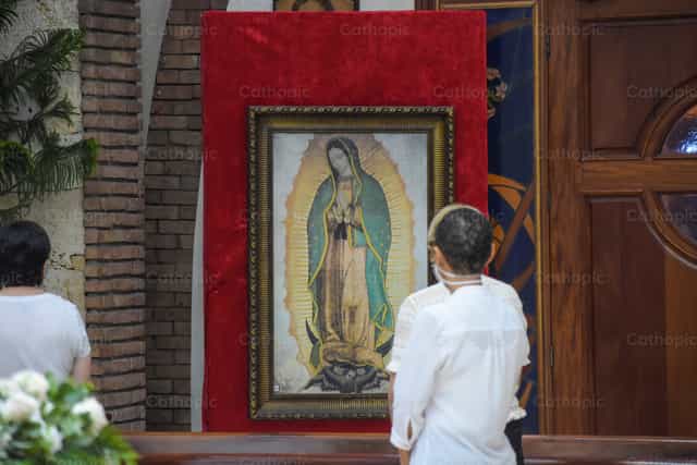 Nuestra Señora de Guadalupe - Banco de imágenes católicas