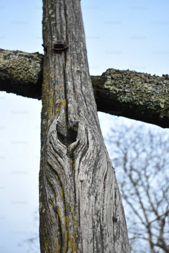 Holy Cross - Catholic stock images