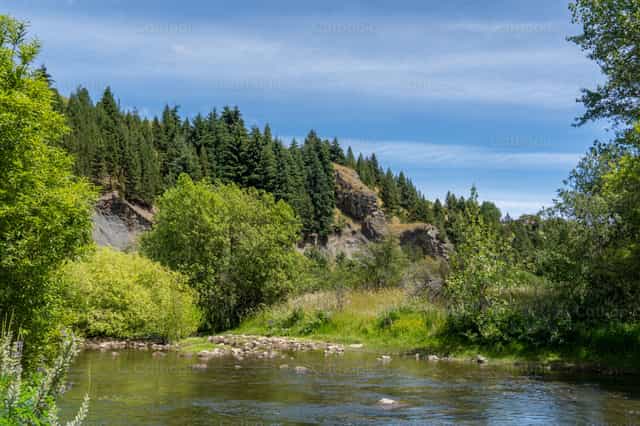 Fiume Simpson e foresta di Coyhaique - Immagini stock cattoliche - Foto di Fabián Pérez