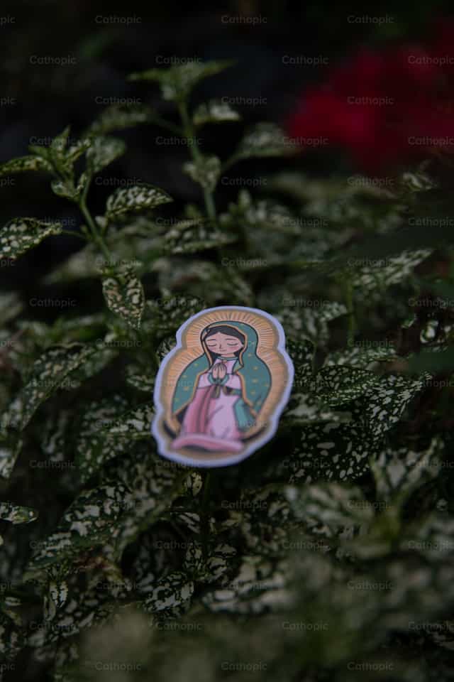 Virgen de Guadalupe - Banco de imágenes católicas - Fotografía por Carolina BR