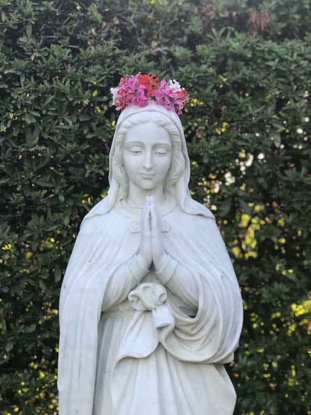 Coroada com Flores - Imagens católicas de stock