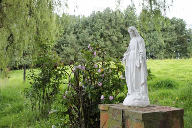 Virgen Maria - Banco de imágenes católicas