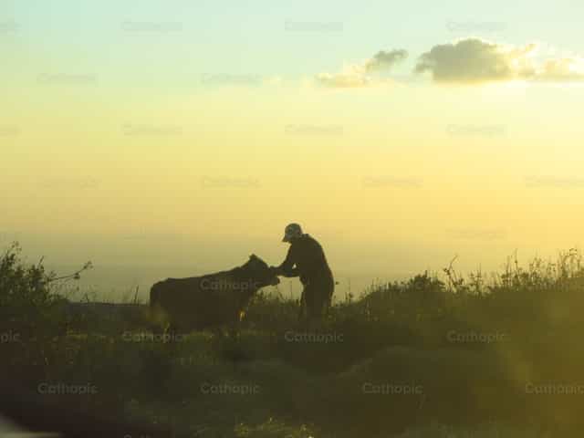 Farmer in the field - Catholic stock images - Photo by Vanesa Guerrero, rpm