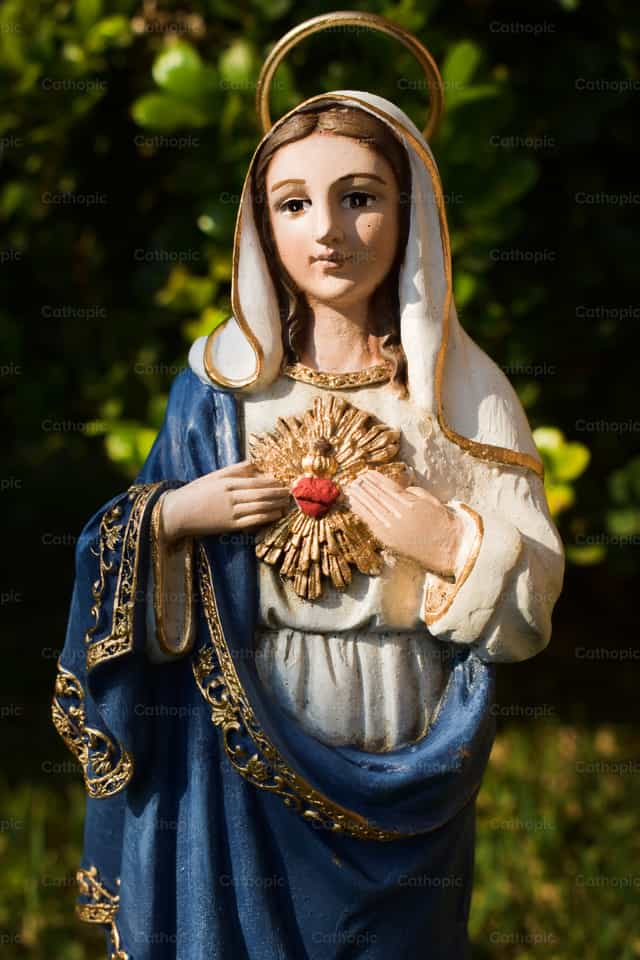 Cœur Immaculé de Marie - Images catholiques de stock