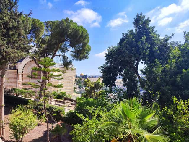 Panorama de Jerusalém - Imagens católicas de stock - Foto de Marius Jocys