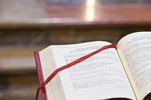 Biblia - Banco de imágenes católicas