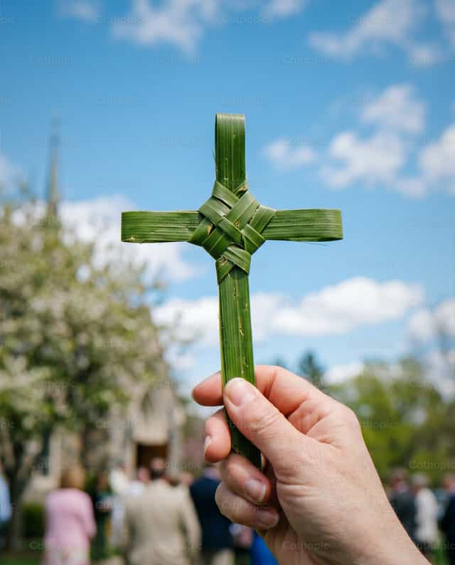 Cruz de palma en Domingo de Ramos - Banco de imágenes católicas - Fotografía por Noemí Márquez