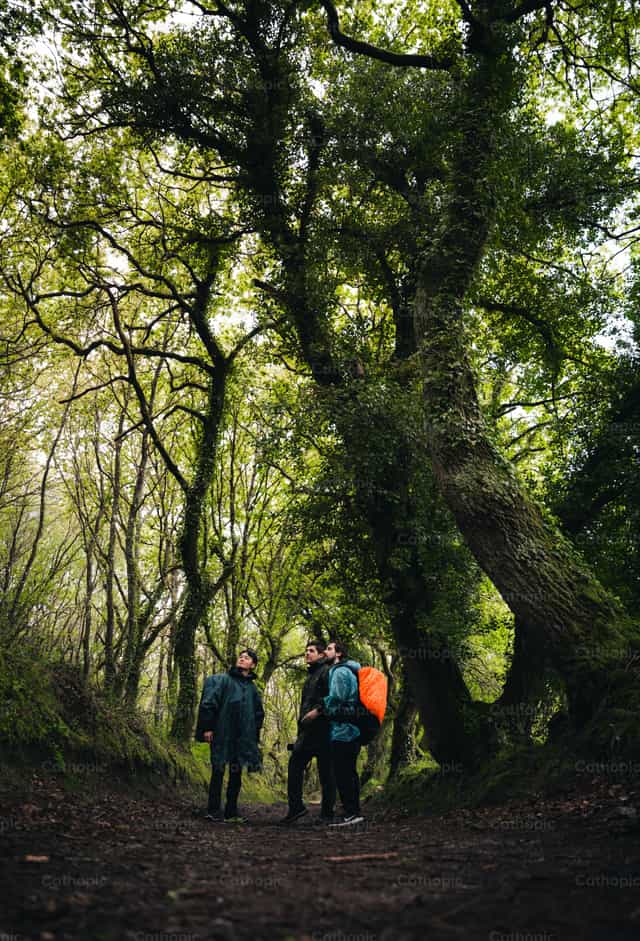 Jóvenes paseando por el bosque - Banco de imágenes católicas