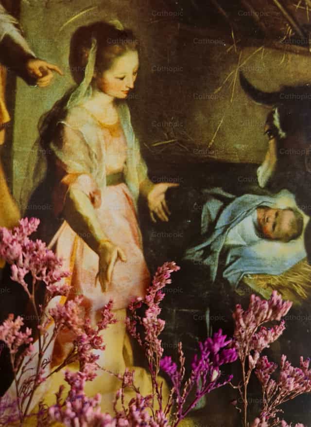 Madre de la ternura - Banco de imágenes católicas - Fotografía por Paola Rossinelli