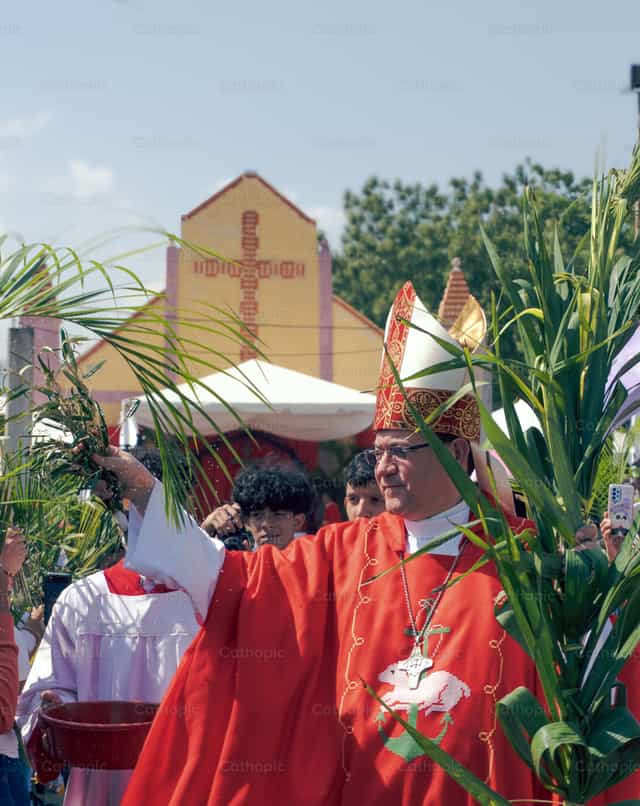 Domingo de Ramos - Banco de imágenes católicas