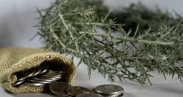 Dornenkrone und Münzen - Katholische Stockfotos
