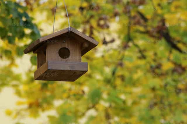 Am Baum hängendes Vogelhäuschen - Katholische Stockfotos - Foto von Cristina Grigore