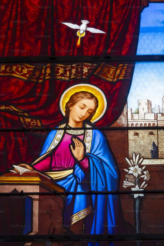 La Virgen María y una paloma - Banco de imágenes católicas - Fotografía por Joan Sutter