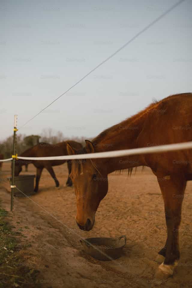 Hey There - Catholic stock images - Photo by Grace Galligan