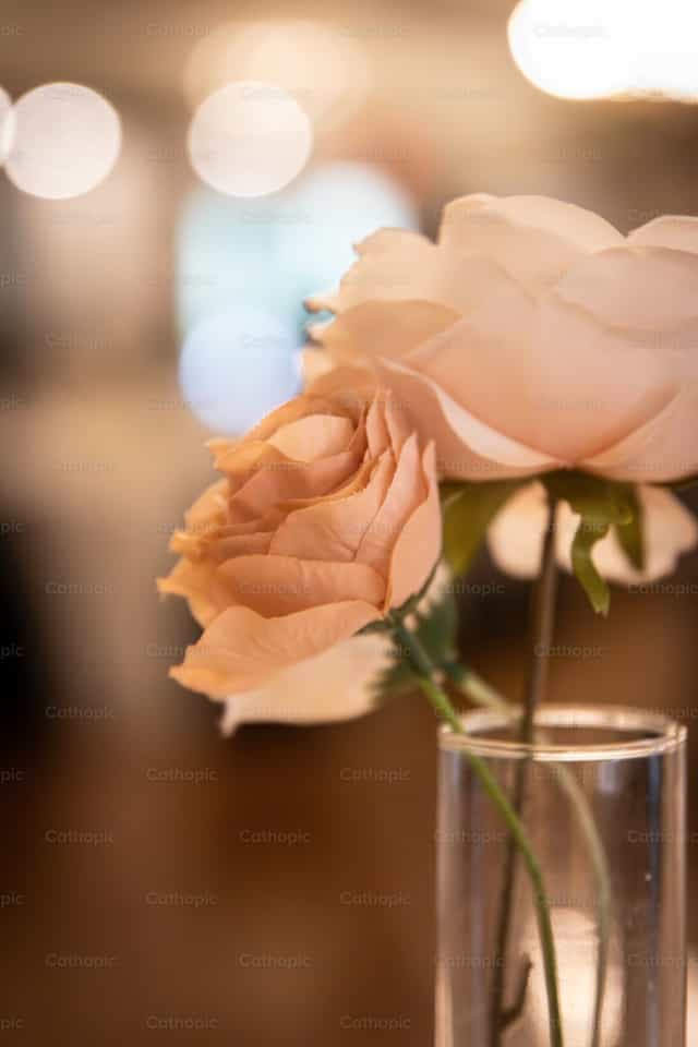 Rosas en un vaso - Banco de imágenes católicas - Fotografía por Sophia Bauer