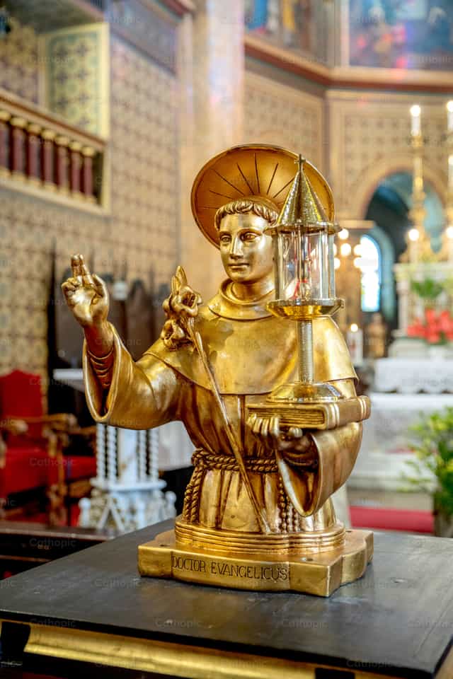 Statue with the relic of St. Anthony of Padua - Catholic stock images - Photo by Cristina Grigore