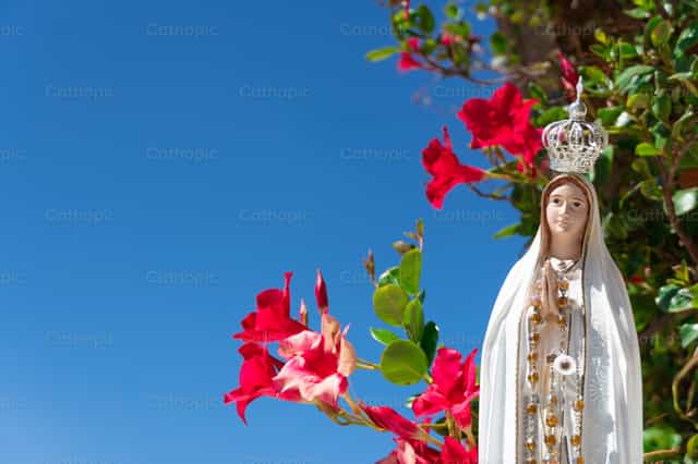 Virgen de Fátima - Banco de imágenes católicas
