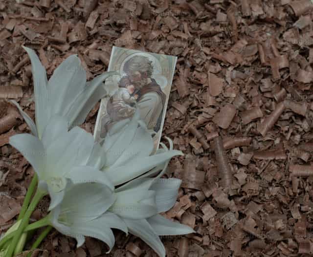Ilustração de São José e do Menino Jesus - Imagens católicas de stock - Foto de Carolina BR